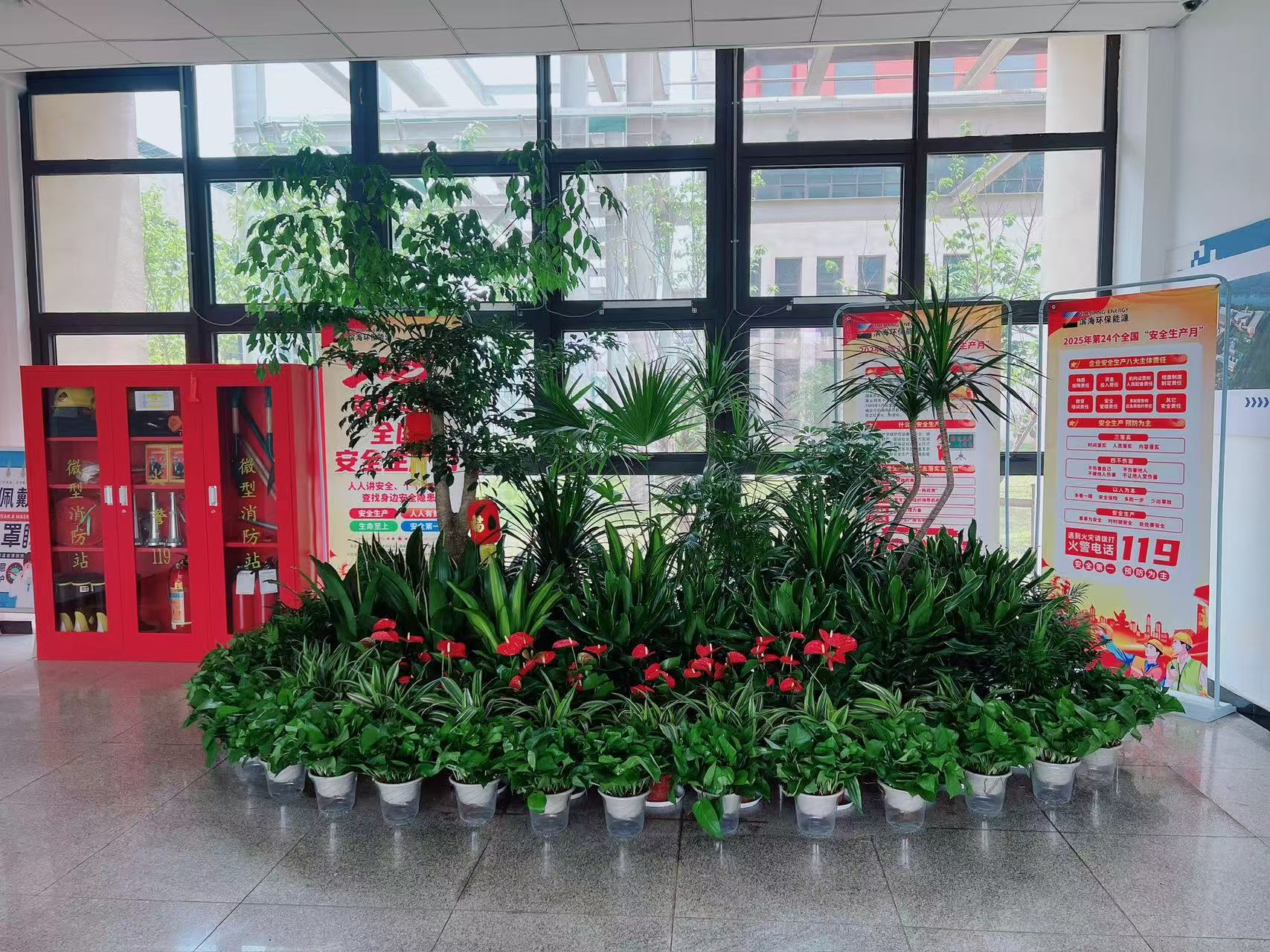 杭州湾花卉租赁，用花卉演绎别样的空间风情